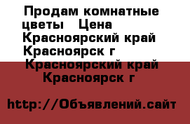 Продам комнатные цветы › Цена ­ 2 000 - Красноярский край, Красноярск г.  »    . Красноярский край,Красноярск г.